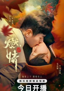 Аниме онлайн